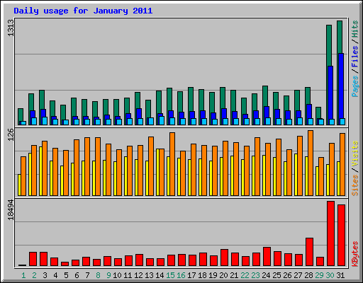 Daily usage for January 2011