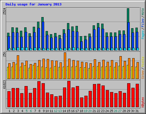 Daily usage for January 2013