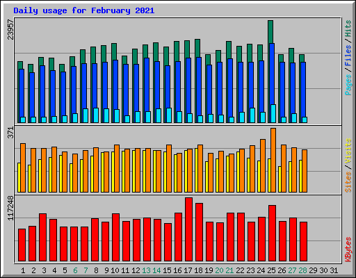 Daily usage for February 2021
