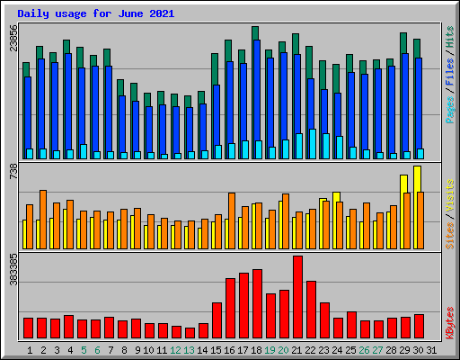 Daily usage for June 2021