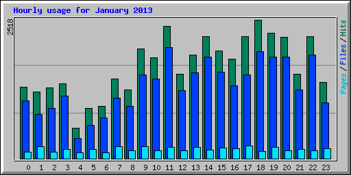 Hourly usage for January 2013