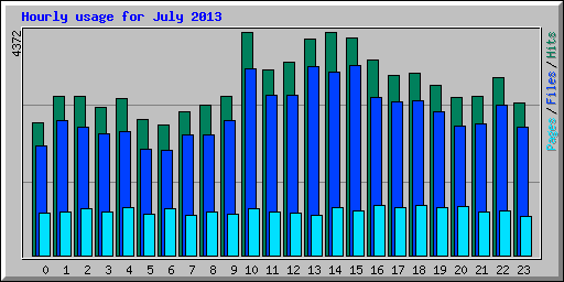 Hourly usage for July 2013