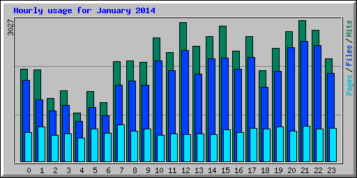 Hourly usage for January 2014