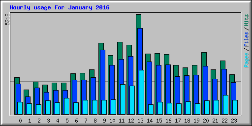Hourly usage for January 2016