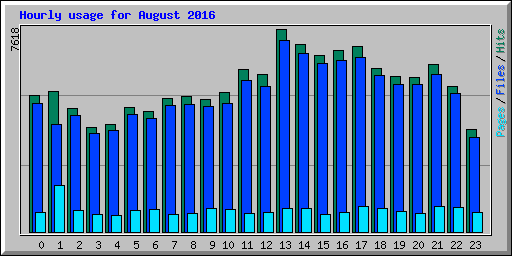 Hourly usage for August 2016