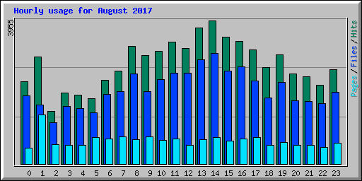 Hourly usage for August 2017