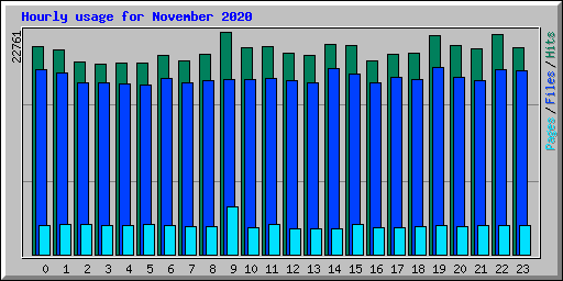 Hourly usage for November 2020