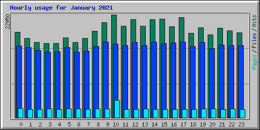 Hourly usage for January 2021