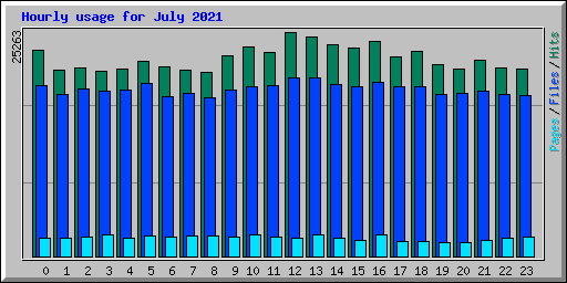 Hourly usage for July 2021