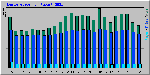 Hourly usage for August 2021