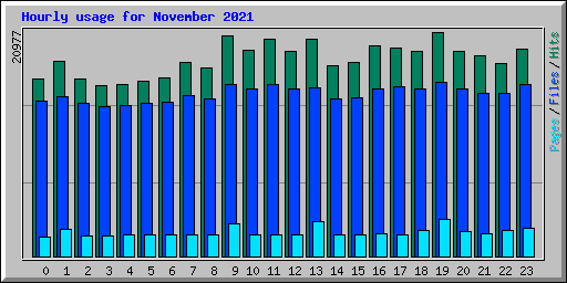 Hourly usage for November 2021