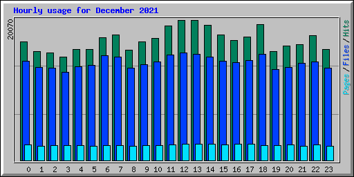 Hourly usage for December 2021
