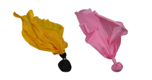 ACS511 - Ball Center Nylon Penalty Flag